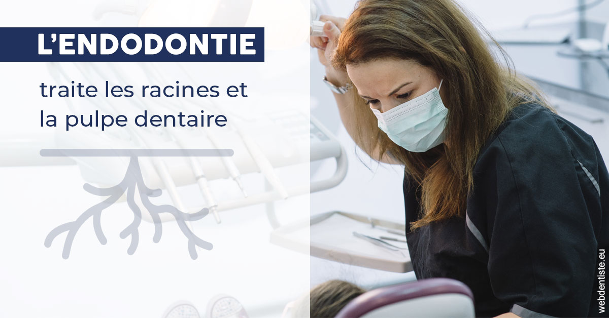 https://dr-hueber-veronique.chirurgiens-dentistes.fr/L'endodontie 1