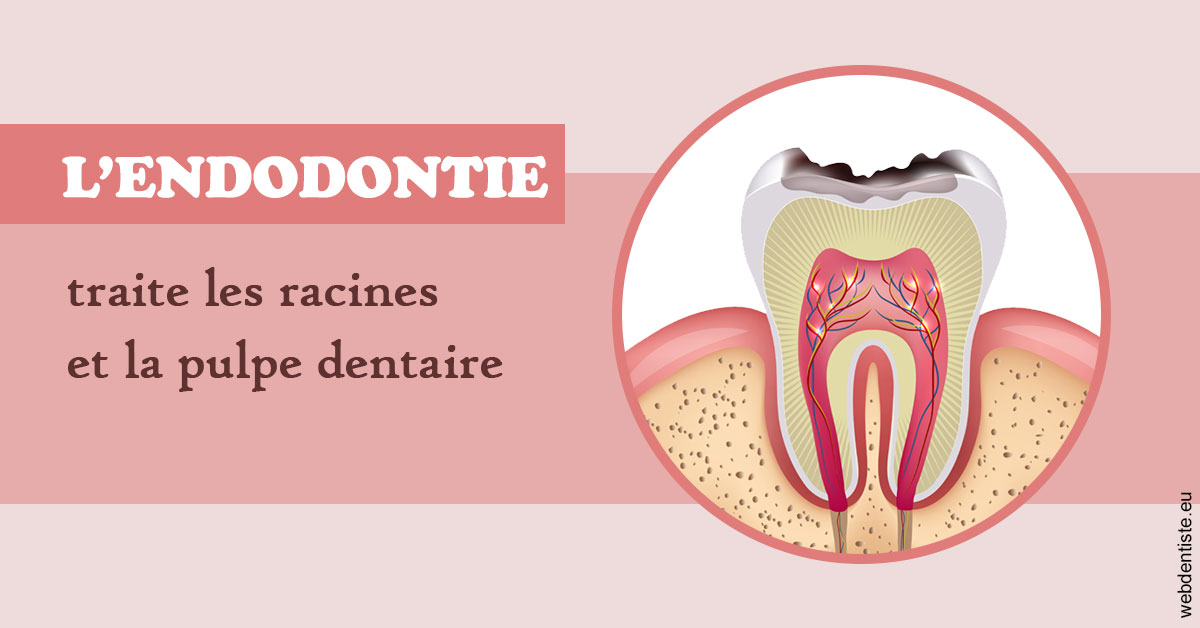 https://dr-hueber-veronique.chirurgiens-dentistes.fr/L'endodontie 2