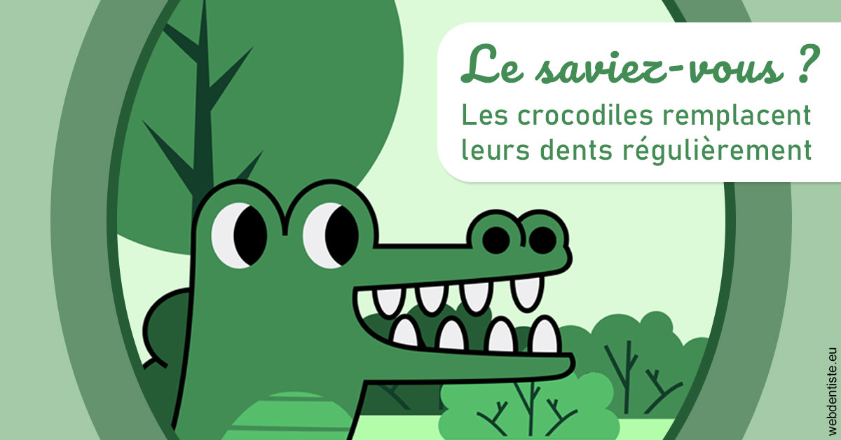 https://dr-hueber-veronique.chirurgiens-dentistes.fr/Crocodiles 2